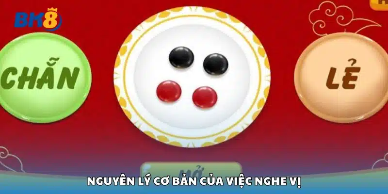 Nguyên lý cơ bản của việc nghe vị