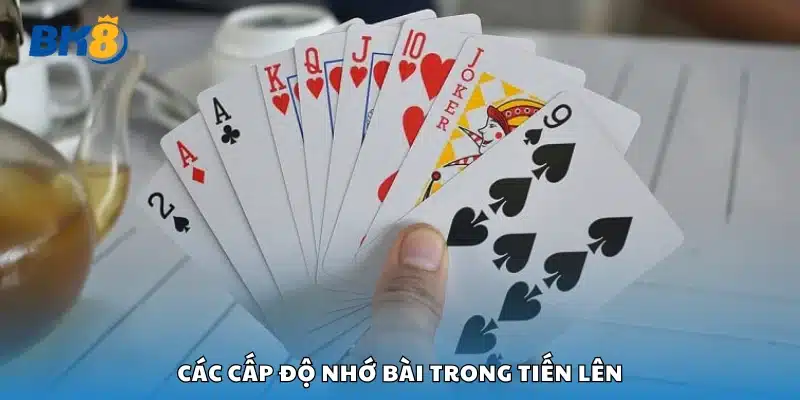 Nhiều mức độ ghi nhớ bài từ cơ bản đến nâng cao
