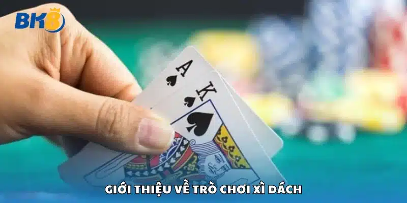 Tổng quan về trò chơi Xì Dách