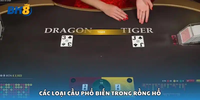 Khám phá các loại cầu phổ biến trong Rồng Hổ