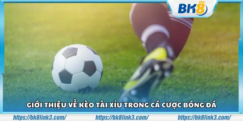 Tài Xỉu là gì? Hình thức cá cược phổ biến trong bóng đá