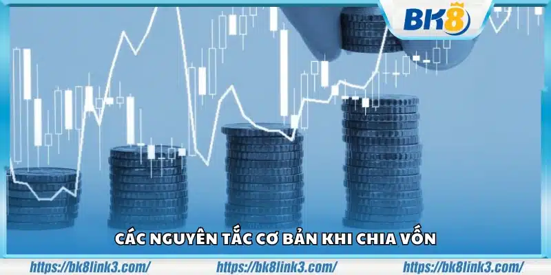 Những quy tắc nền tảng trong việc phân bổ vốn